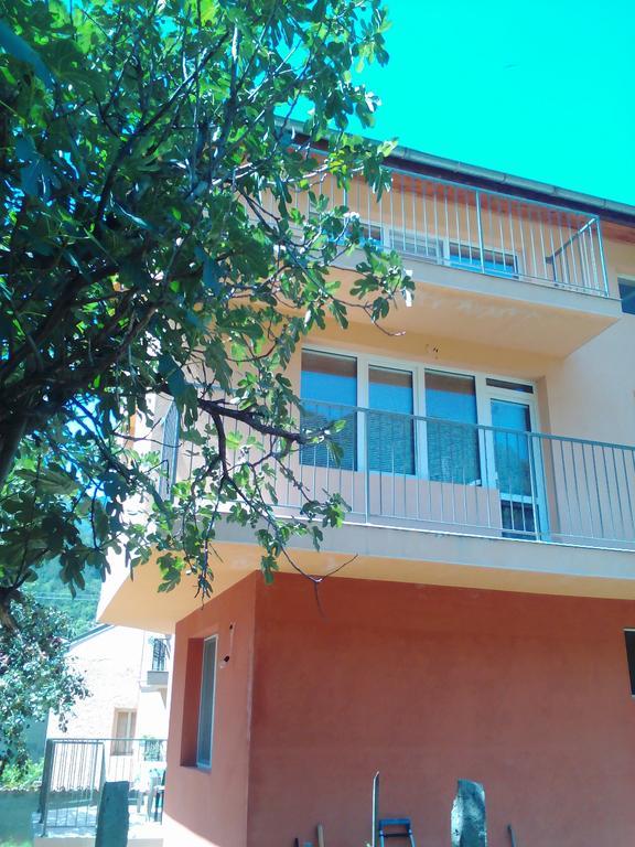 Vila Bacskovo Kültér fotó