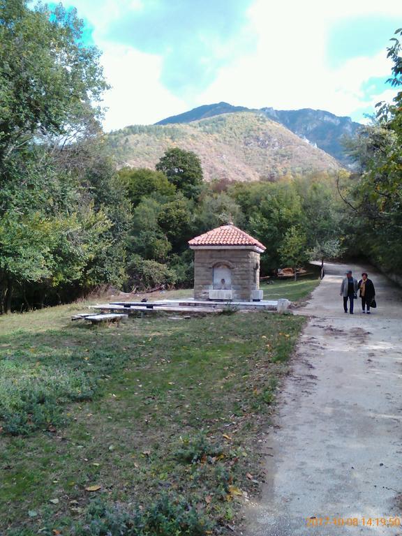 Vila Bacskovo Kültér fotó