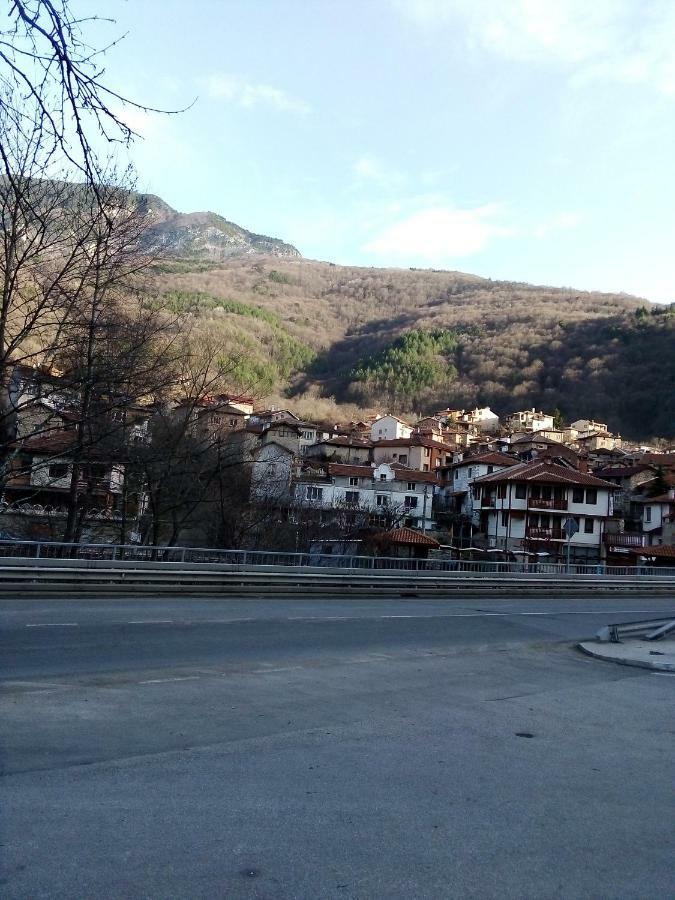 Vila Bacskovo Kültér fotó