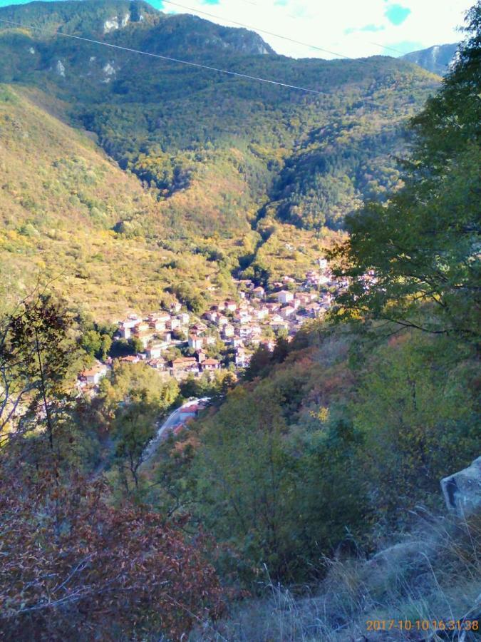 Vila Bacskovo Kültér fotó